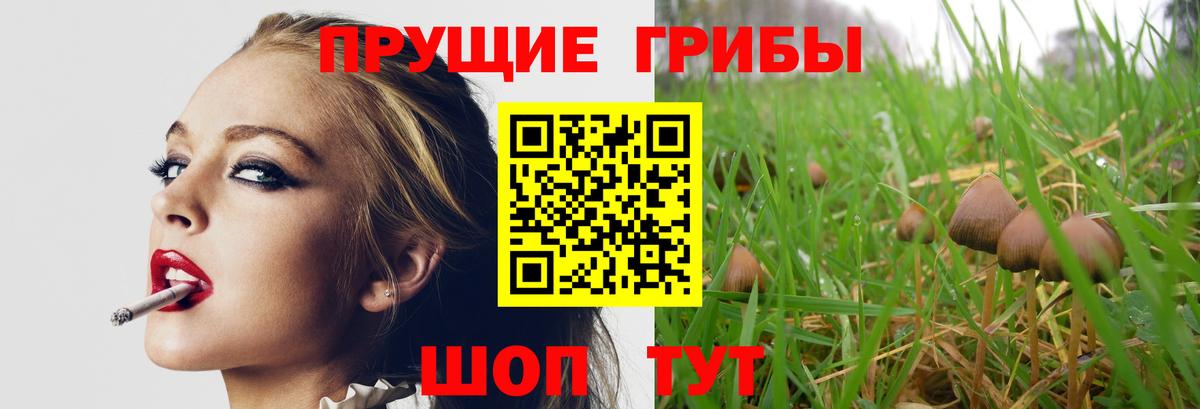 Ипатово  Галлюциногенные грибы Magic Shrooms  Вход с VPN  продажа наркотиков  Псилоцибиновые грибы MAGIC MUSHROOMS 