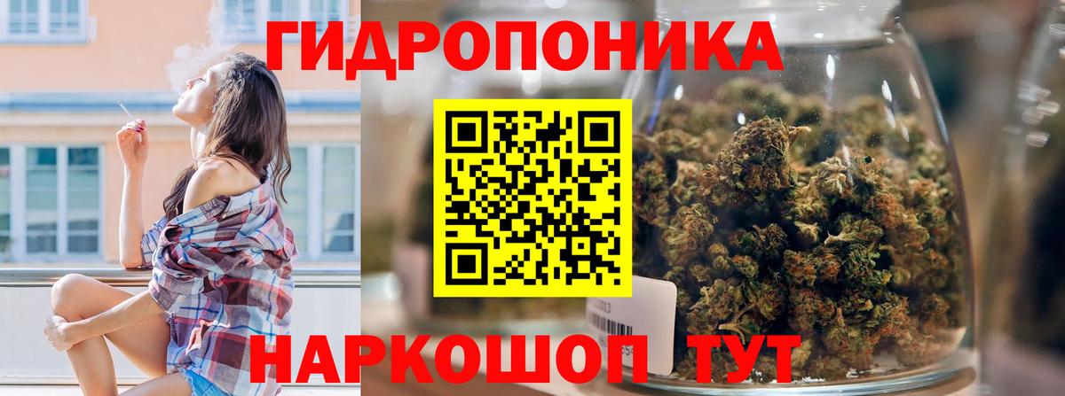Бошки марихуана семена  Марихуана VHQ  Марихуана планчик  Ипатово  Вход с VPN 